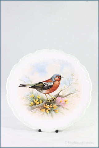 The Woodland Birds Collection