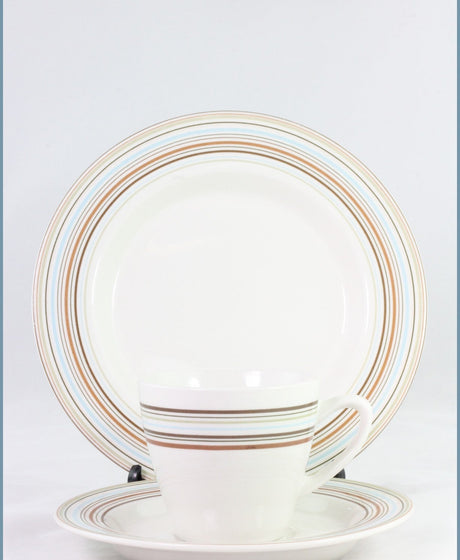 Replacing Johnson Brothers Sienna At ReplacingPieces