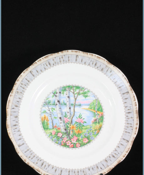 Replacement Royal Albert Silver Birch