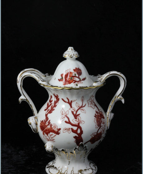Coalport - Indian Tree Coral