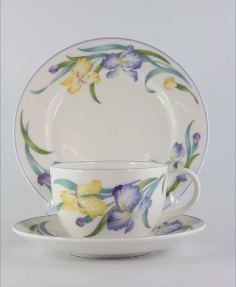 Replacing Royal Doulton Ladywood At ReplacingPieces