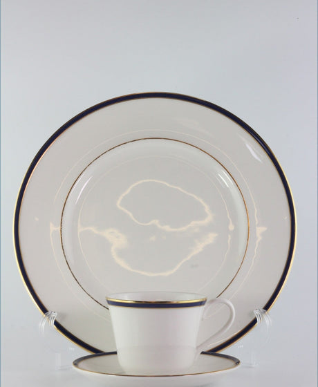 Replacing Royal Doulton Oxford Blue TC1210 At ReplacingPieces