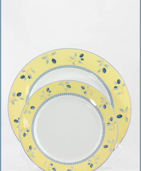 Replacing Royal Doulton Blueberry At ReplacingPieces