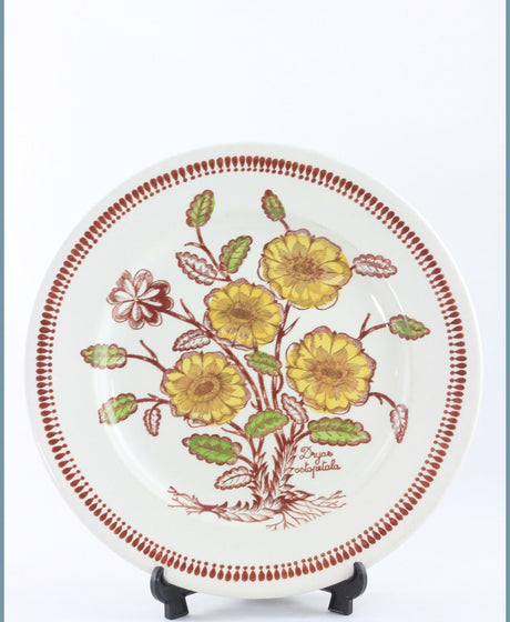 Replacing Broadhurst Wild Flowers At ReplacingPieces