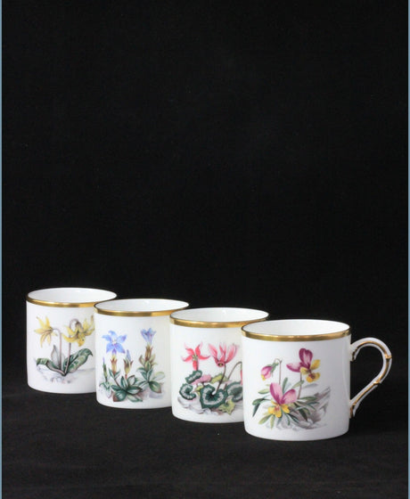 Replacement Royal Worcester China - Alpine Flowers