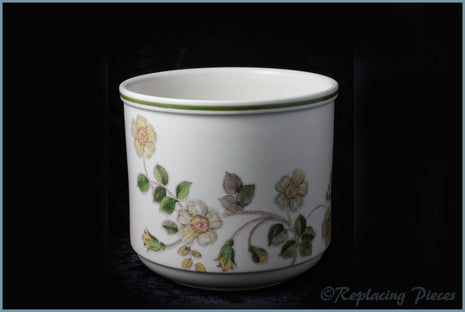 Marks & Spencer - Autumn Leaves - 5 1/2" Planter