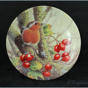 Royal Worcester - Robins All Year Round - Autumn Mist