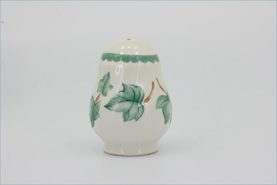 BHS - Country Vine - Salt Pot