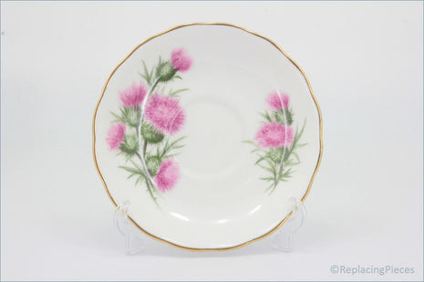 Colclough - Thistle (7608) - Tea Saucer