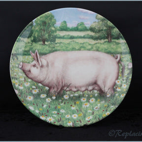 Royal Doulton - Pigs In Bloom - Daisy