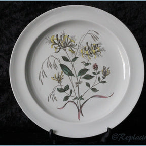 Wedgwood - Country Lane - Dinner Plate