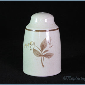 Royal Doulton - Sandsprite (LS1013) - Salt Pot