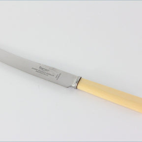 James Dixon - Grecian - Dessert Knife (Plastic Handle/Stainless Blade)