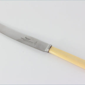 James Dixon - Grecian - Dinner Knife (Plastic Handle/Stainless Blade)