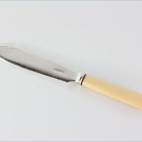 James Dixon - Grecian - Fish Knife (Silver Plate/Plastic Handle)