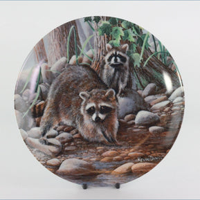 Knowles - Friends Of The Forest - The Raccoon (no.2)