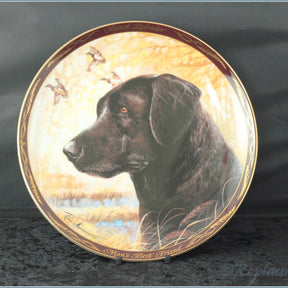 Royal Doulton - Black Labrador - Mans Best Friend