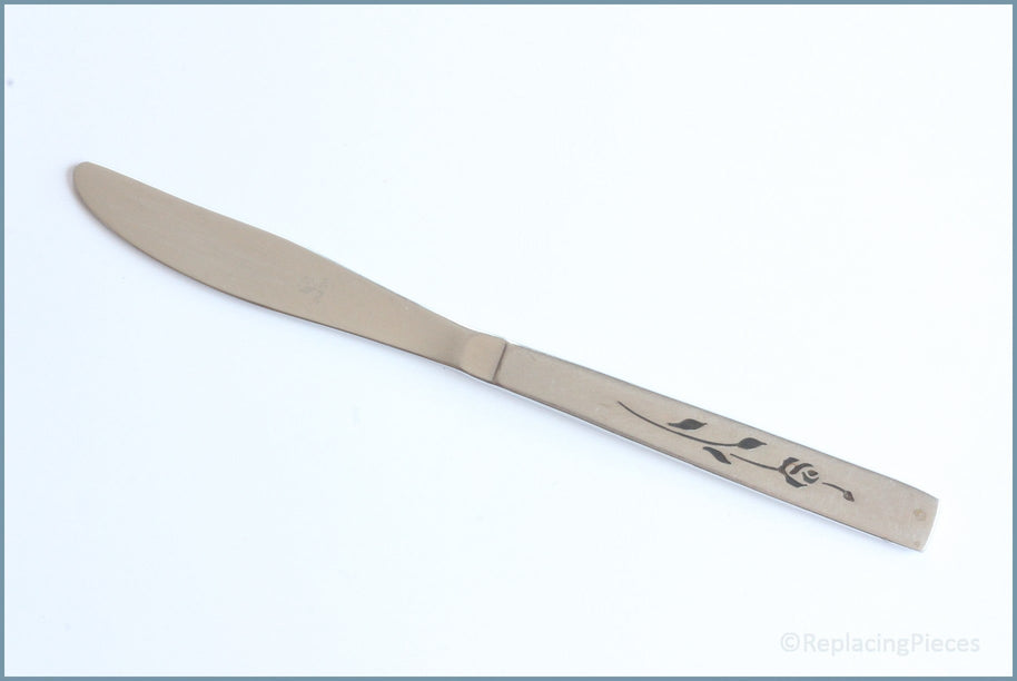 Oneida - Capistrano - Dinner Knife (Pattern On Both Sides Of Handle)