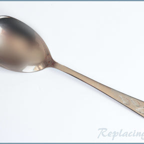 Oneida - Winter Song - Serving Spoon