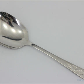 Oneida - Winter Song - Serving Spoon (Square Bowl)