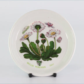 Portmeirion - Botanic Garden - Coaster (Daisy)