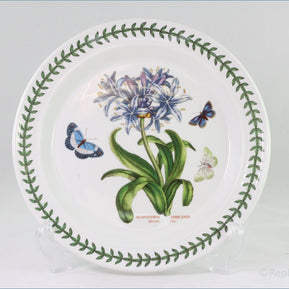 Portmeirion - Botanic Garden - Dinner Plate (Agapanthus Africanus)
