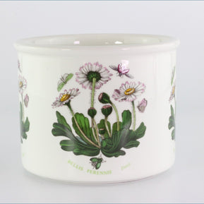 Portmeirion - Botanic Garden - Planter (Daisy)