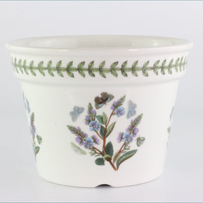 Portmeirion - Botanic Garden - Planter