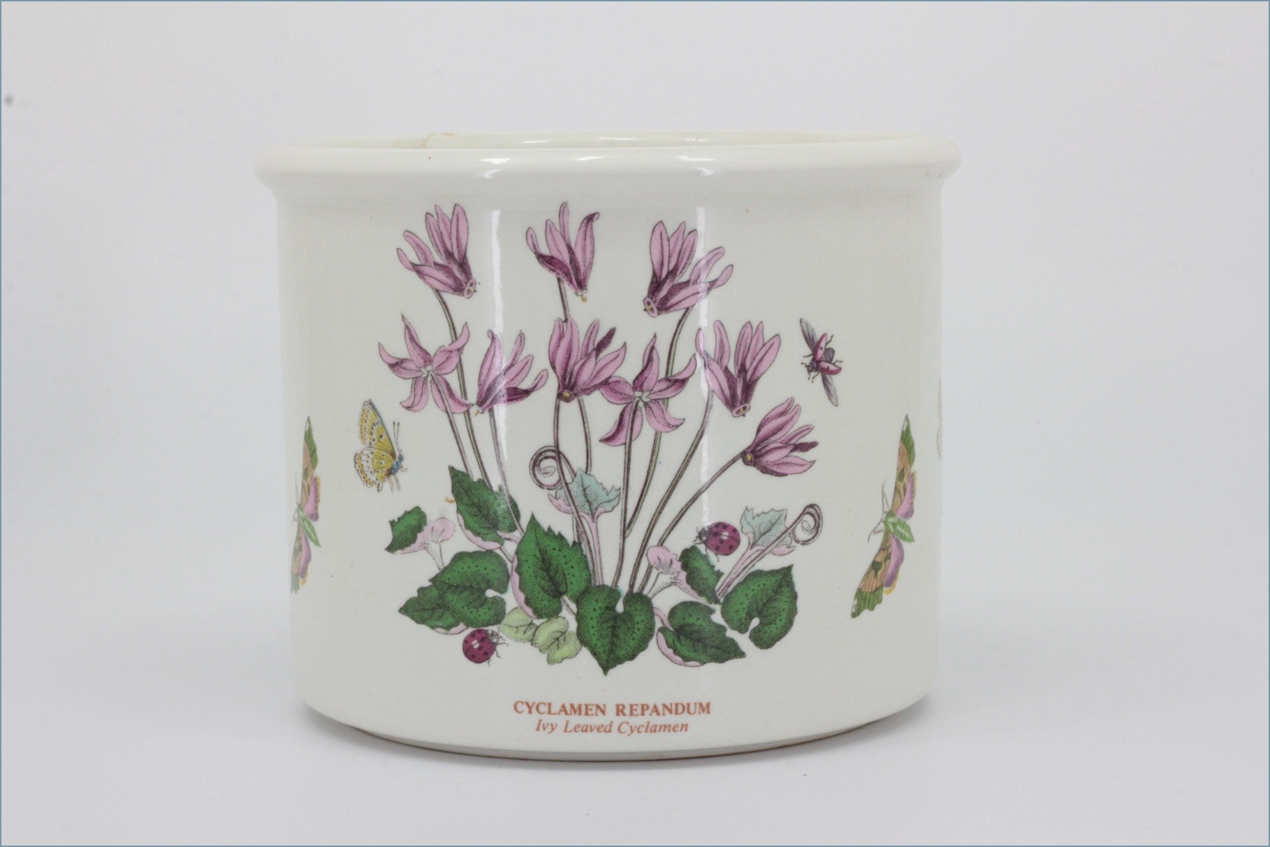 Portmeirion - Botanic Garden - Plant Pot (Cyclamen)