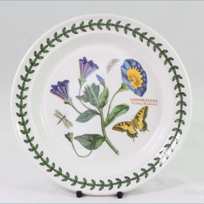 Portmeirion - Botanic Garden - 7 1/4