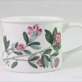 Portmeirion - Botanic Garden - Teacup (Rhododendron)