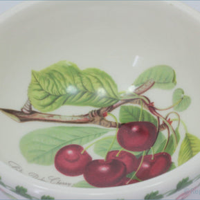 Ceramic bowl with cherry design on a white background - Portmeirion - Pomona - 5 1/2