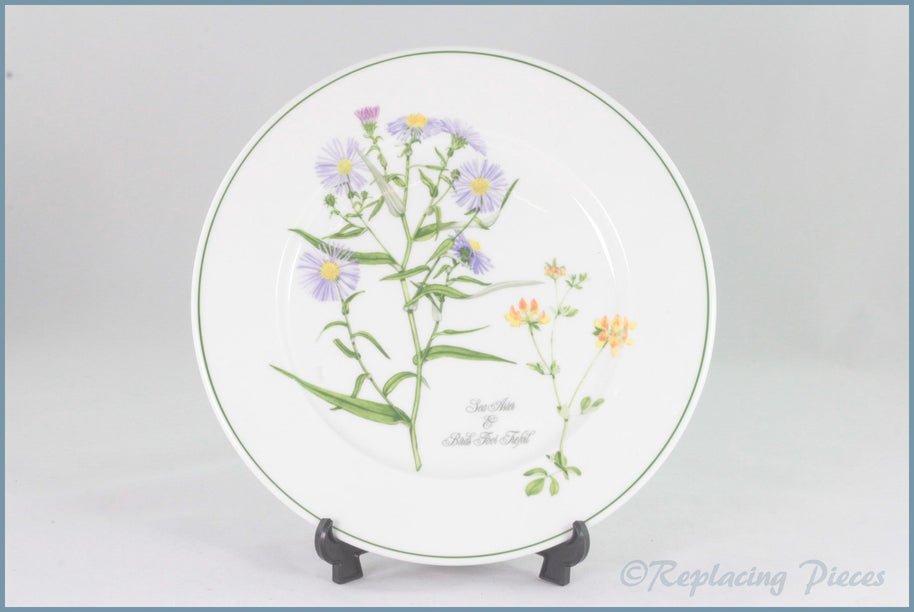 Portmeirion - Welsh Wild Flowers - 8 3/4" Salad Plate (Sea Aster & Buds Foot Trefoil)