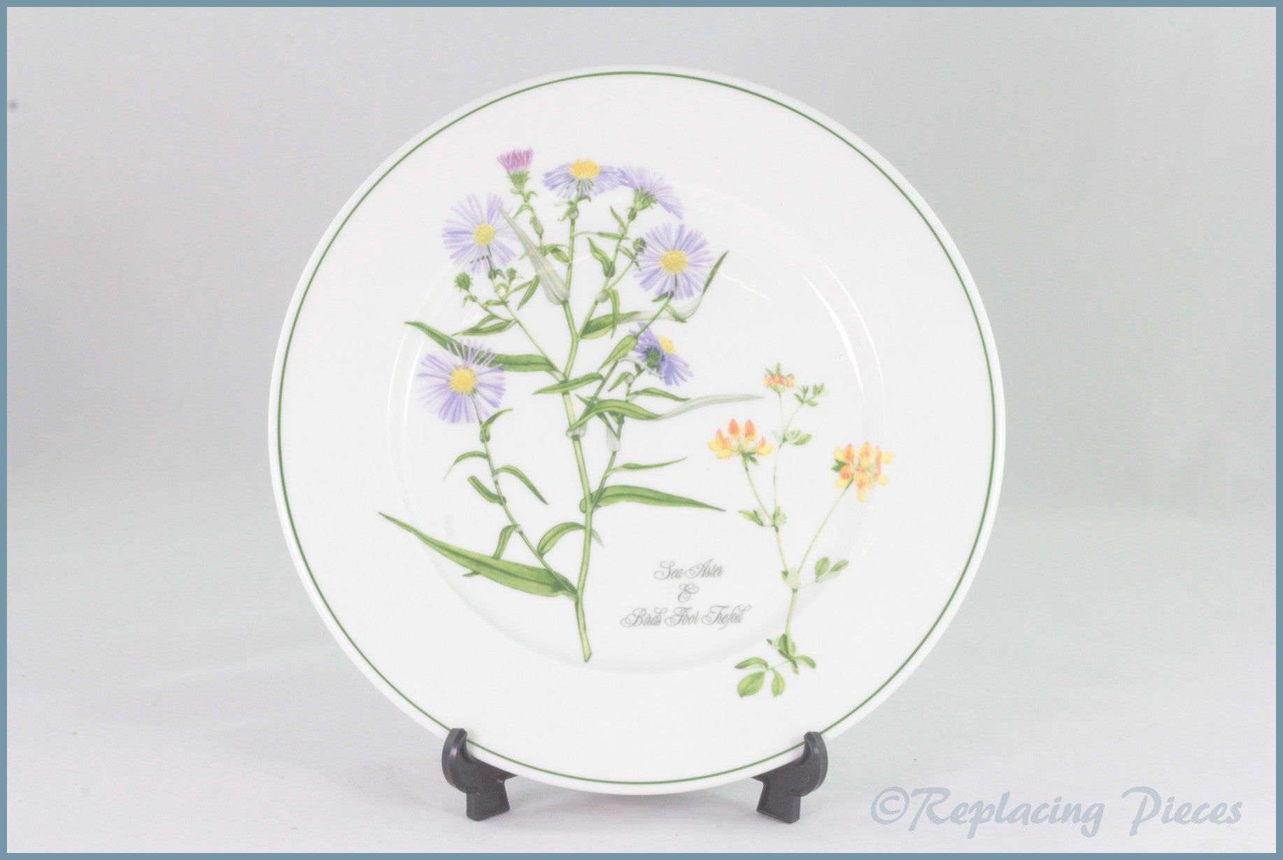 Portmeirion - Welsh Wild Flowers - 8 3/4