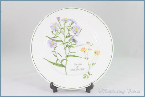 Portmeirion - Welsh Wild Flowers - 8 3/4" Salad Plate (Sea Aster & Buds Foot Trefoil)