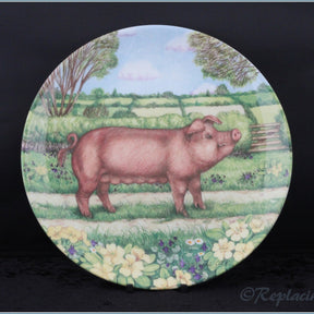 Royal Doulton - Pigs In Bloom - Primrose