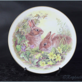 Nicholas John - Wildlife Plates - Rabbits
