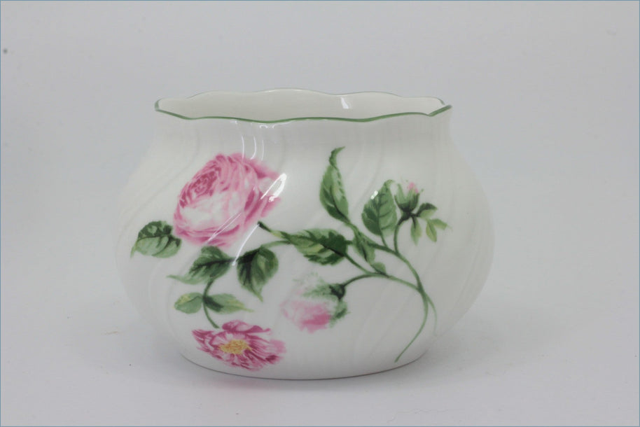 Rosina - Mottisfont Roses - Sugar Bowl