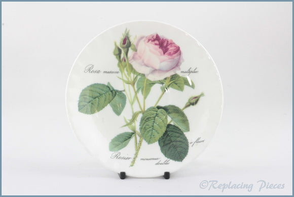 Roy Kirkham - Redoute Roses - Tea Saucer