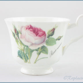 Roy Kirkham - Redoute Roses - Teacup