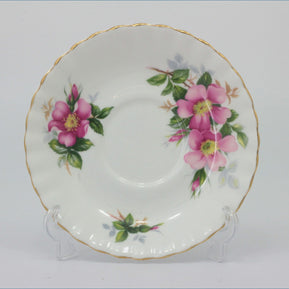 Royal Albert - Prairie Rose - Tea Saucer