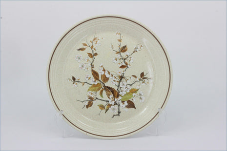 Royal Doulton - Wild Cherry (LS1038) - 9 3/4" Luncheon Plate