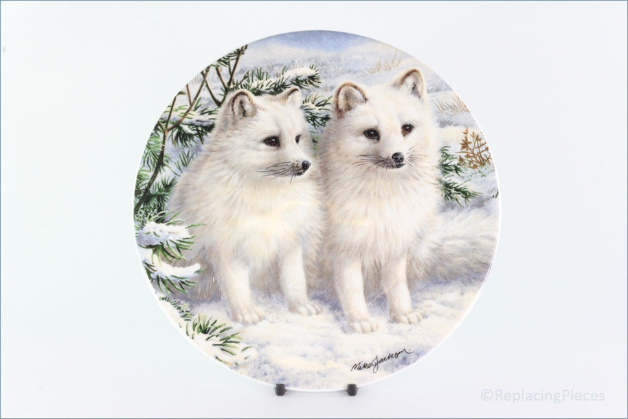 Royal Grafton - Polar Wildlife - Arctic Fox Cubs (no.4)