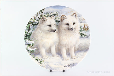 Royal Grafton - Polar Wildlife - Arctic Fox Cubs (no.4)