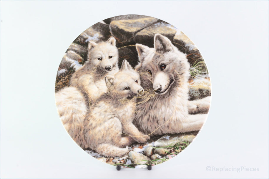Royal Grafton - Polar Wildlife - Arctic Wolf family (no.6)