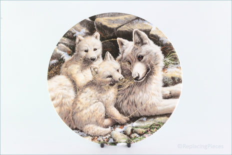 Royal Grafton - Polar Wildlife - Arctic Wolf family (no.6)
