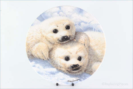 Royal Grafton - Polar Wildlife - Harp Seal Pups