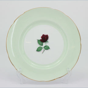 Royal Standard - Floral Harlequin - 6 1/4