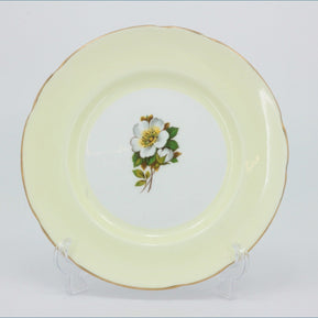 Royal Standard - Floral Harlequin - 6 1/4