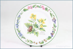 Royal Worcester - Worcester Herbs - 6 3/4" Side Plate